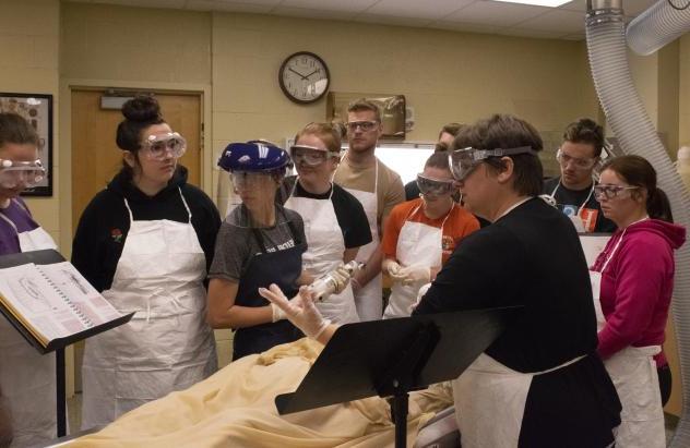 students working with cadaver